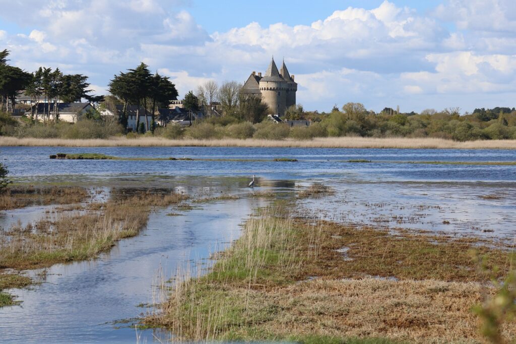 château Suscinio