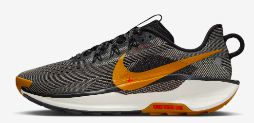 tout terrain nike pegasus trail